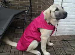 High recommend warm large dog coat fleece fabric inner big dog jacket  keep warm pet clothes XS-XXXXL fit different size dog