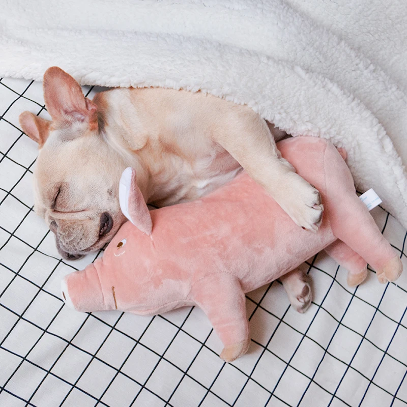 plush pig dog toy