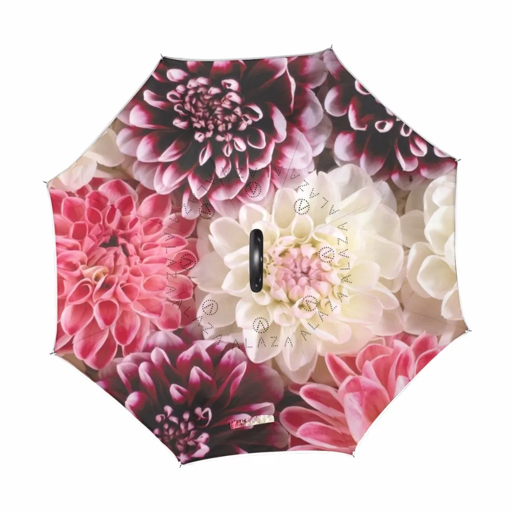 g1287286p183c217s313_1