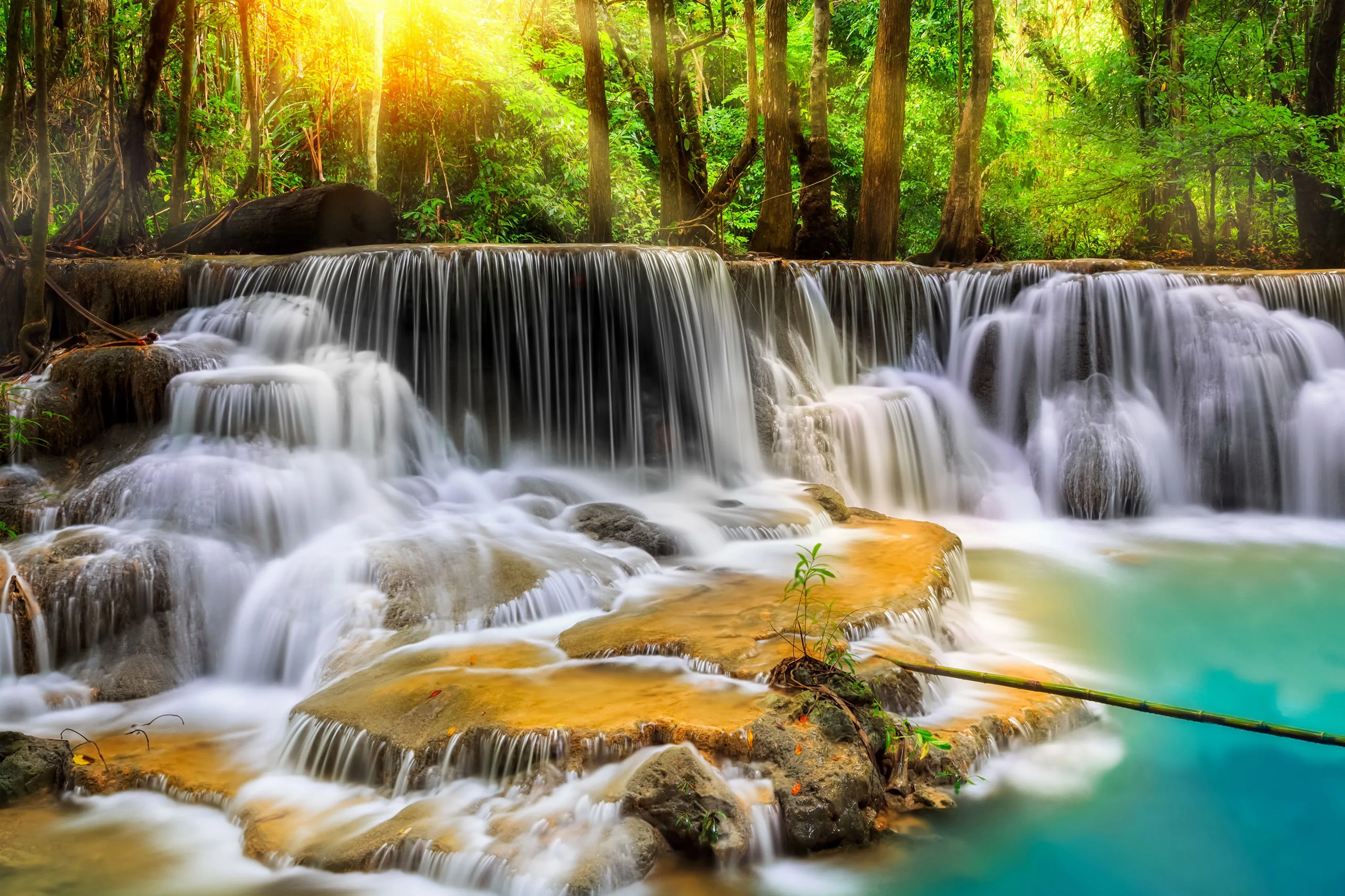 Home decoration Forest tree waterfall flow Silk Fabric Poster Print 579FJ | Дом и сад