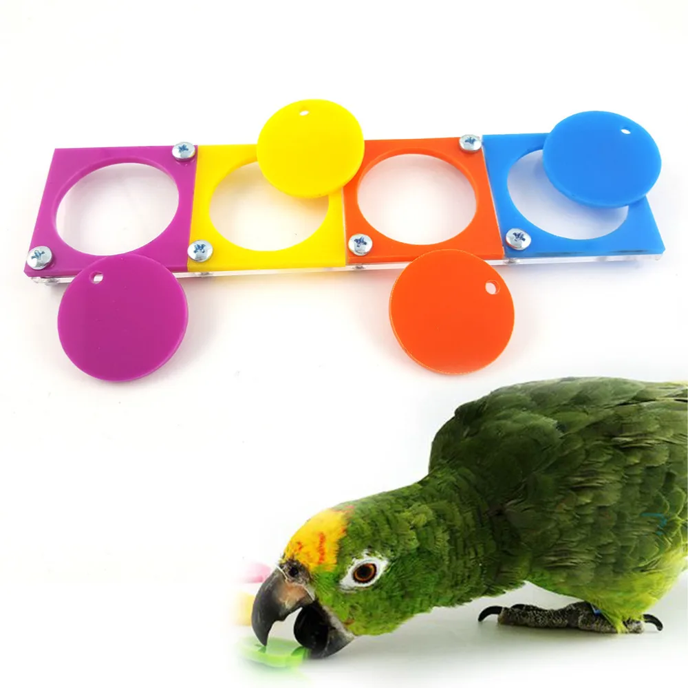 SweetDog Parrot Bird Cognitive Training Puzzle Toy 20*5cmin Bird