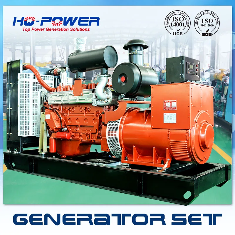 permanent generator 220v 250kw big power alternatorin Diesel