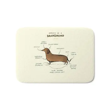 

Anatomy Of A Dachshund Bath Mat Water Absorption Carpets Living Room Dust Proof Mats Home Decor