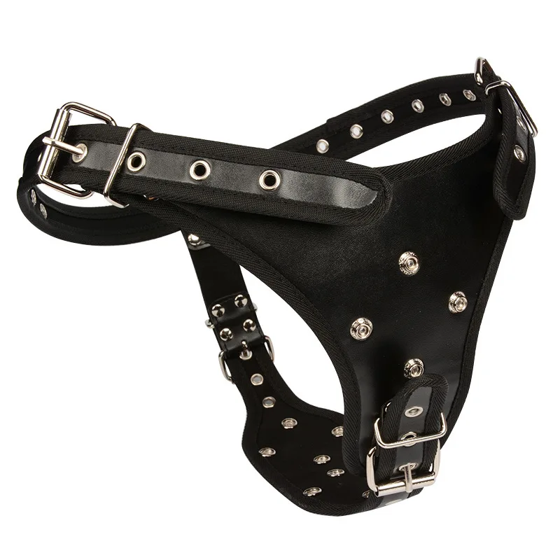 strap on dildo  (3)