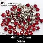 Rhinestones in claw Siam 19