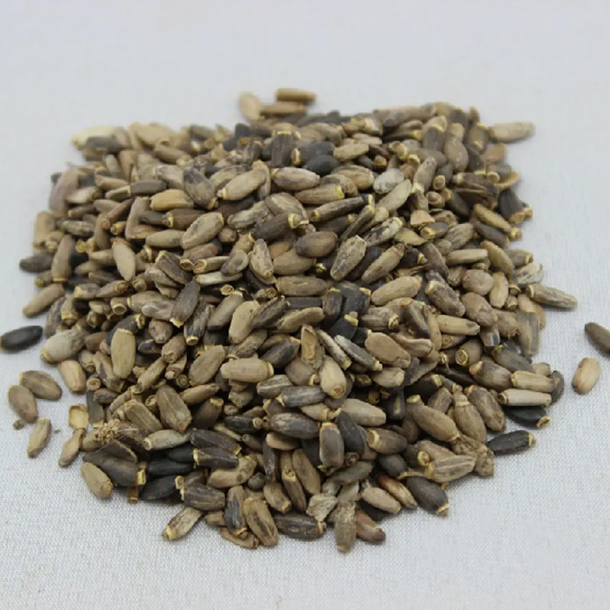 Chinese Herb Protect the Liver Holy Thistle Milk Silybum Marianum 250g |