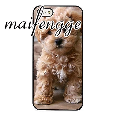 

maifengge Labradoodle Labrador Poodle Puppy Case For iPhone 5 6s 7 8 plus 11 pro X XR XS Max Samsung Galaxy S6 S7 edge S8 S9