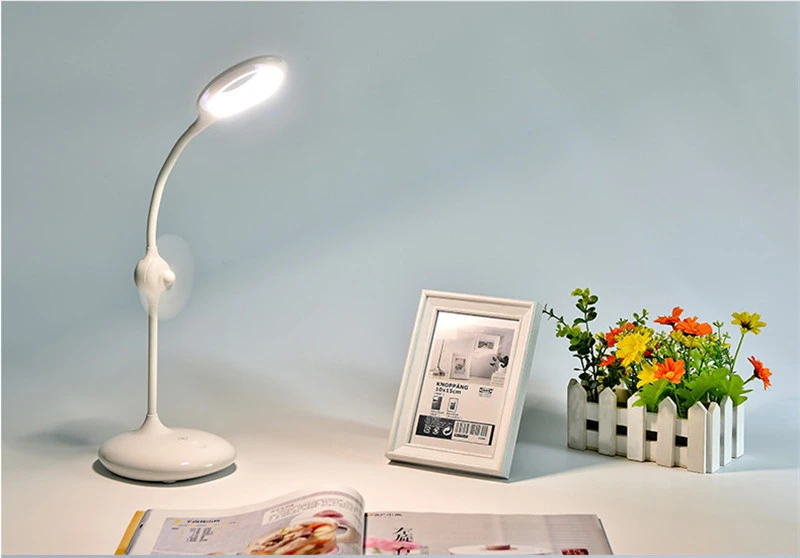 desk lamp (4)