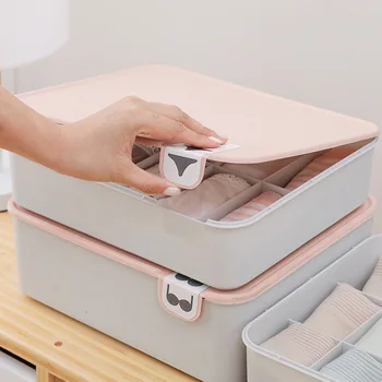 

Household Plastic Underwear Storage Box with Mark Compartment Closet Organizer with Cover for Underwear Socks