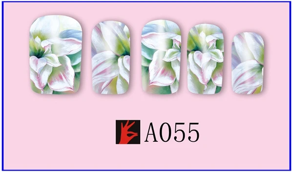 A055