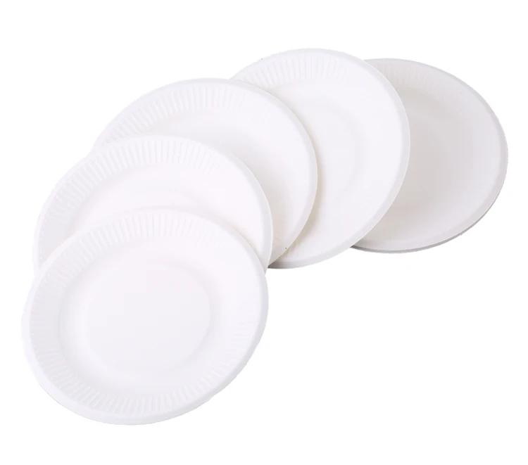 Disposable plate