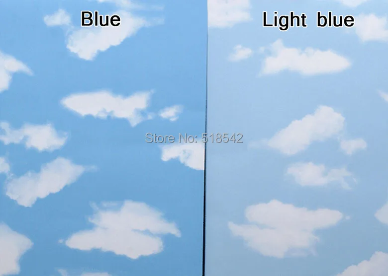 BS460 11.jpg