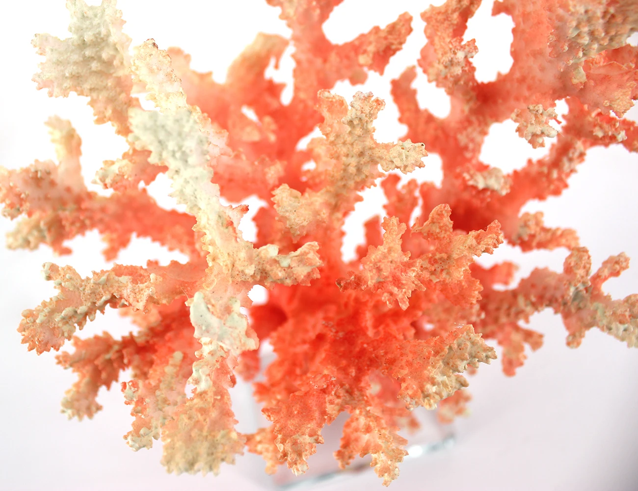 Декоративная Коралловая скульптура с кристальной основой, светится в темноте, полимерные коралловые художественные украшения, художественный стол, Декор для дома и офиса