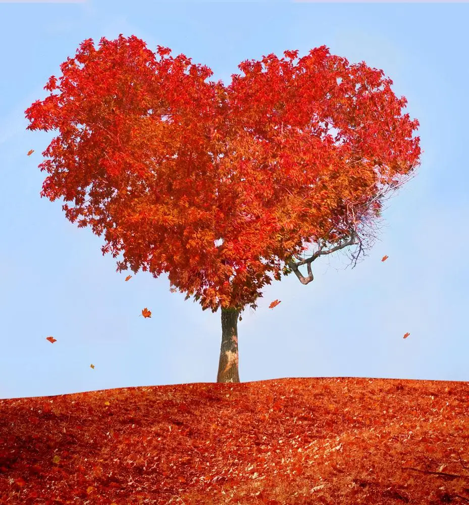 

10x10ft Vinyl Custom Photography Backdrops Studio Props Valentine day Theme Background JVA-023