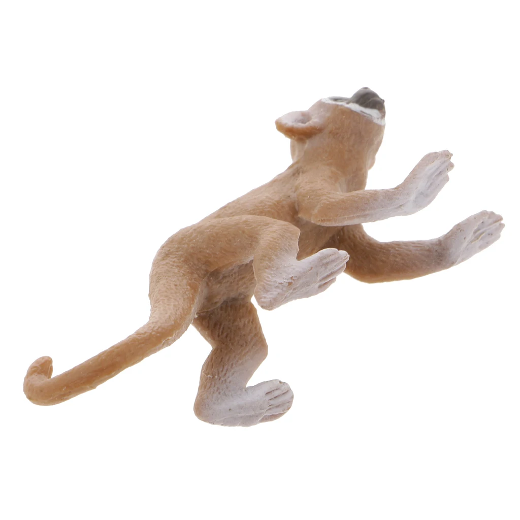 MagiDeal Realistic Squirrel Figure Model Handcrafted Figurine Model Decor 