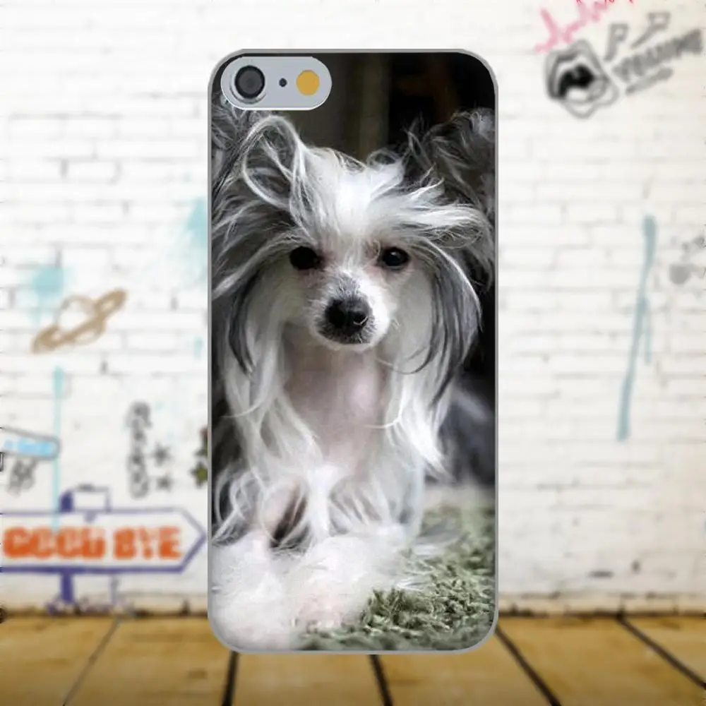Чехол Oedmeb для Galaxy A3 A5 A7 J1 J3 J5 J7 2016 2017 S5 S6 S7 S8 S9 edge Plus чехол из ТПУ с собачьей породой