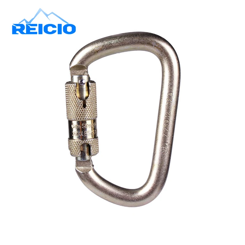 

REICIO Outdoor D Shape Aluminum Hang Buckle Professional Safety Master Lock Climbing Clock Carabiner Rock Climbing Buckle