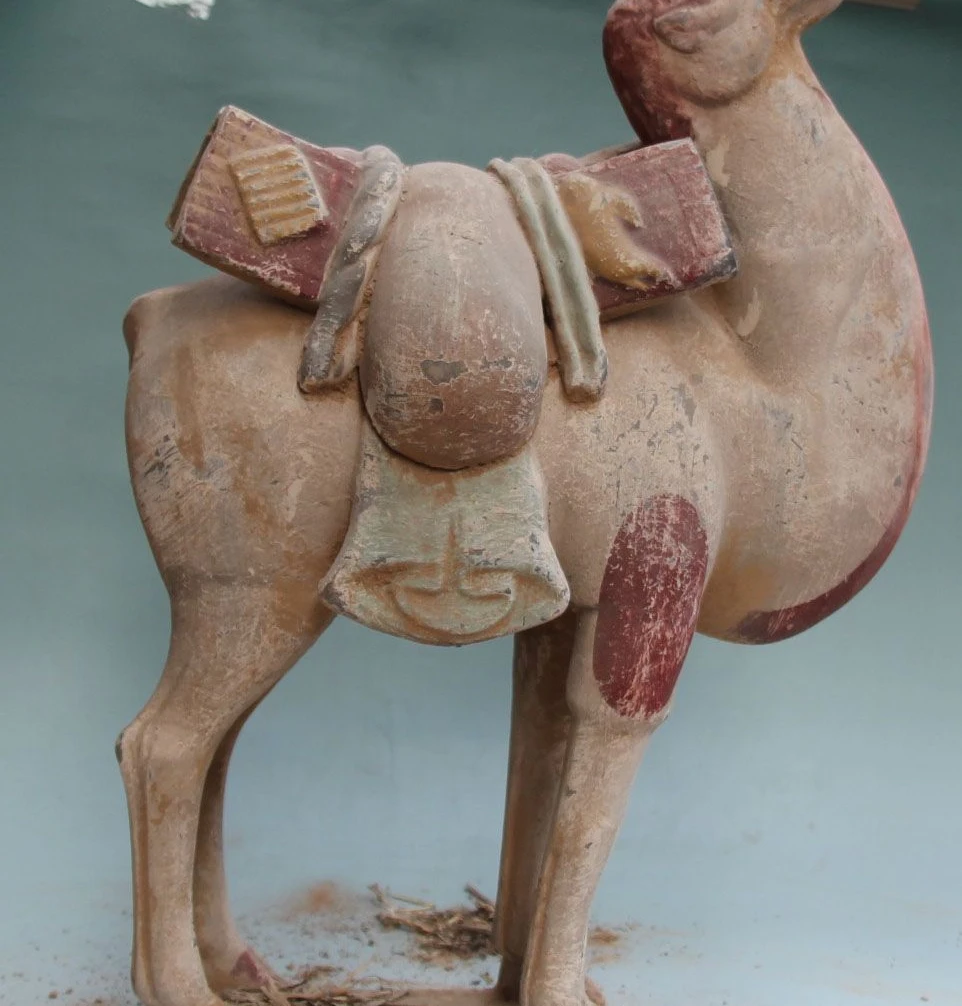 Download 650 Koleksi Gambar Hewan Llama Terbaik HD