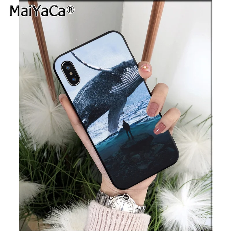 Ocean Whale Animal