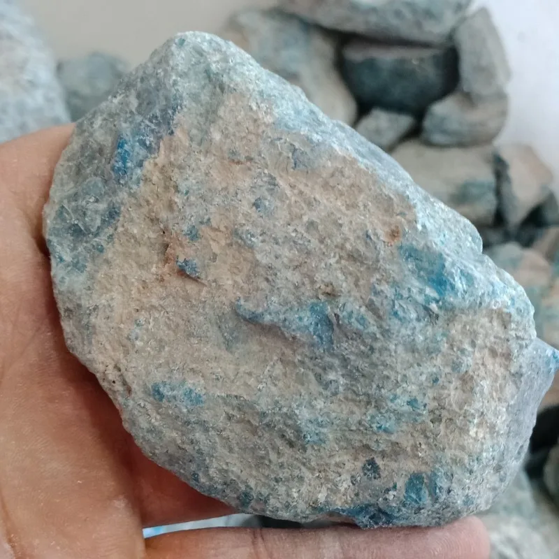 conew_img20190410100253