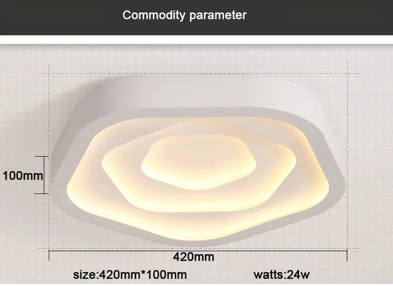 Ceiling lamp (13)