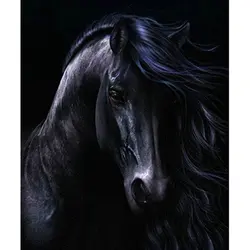 Diy Алмазная картина Черная лошадь шитье ручной работы художественная вышивка СТРАЗА вышивка крестиком украшение 30X40 см (12X16 дюймов)