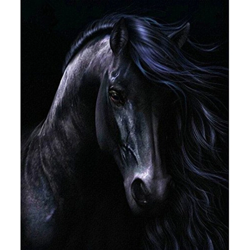 

Diy Diamond Painting Black Horse Handicraft Sewing Art Embroidery Rhineston Cross Stitch Decoration 30X40Cm(12X16 inch)