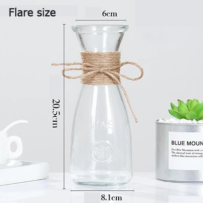Креативная стеклянная ваза, украшение для гостиной, прозрачная бутылка из серии «сделай сам» водяной гидропонный цветочный композиция, высушенный цветок, европейская ваза