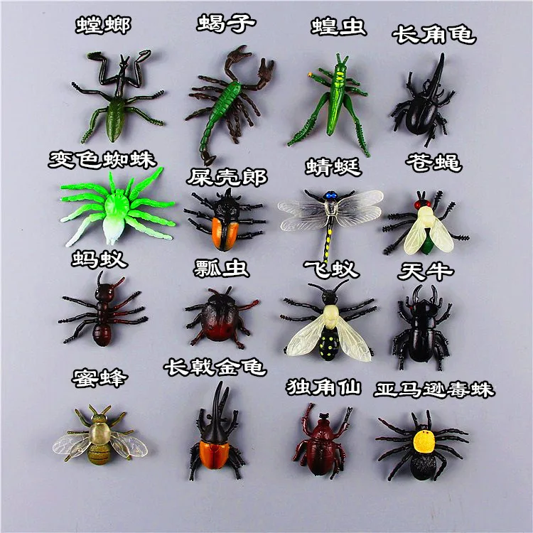 Toy gift animal toy cricked model butterfly scorpion scollops Insect toy model Wild animal toy model