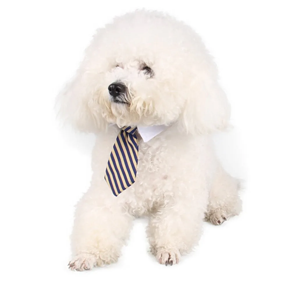 Кошка собака уход полосатый галстук-бабочка воротник животное регулируемый галстук белый ошейник собака галстук вечерние свадебные Dod Cat аксессуары