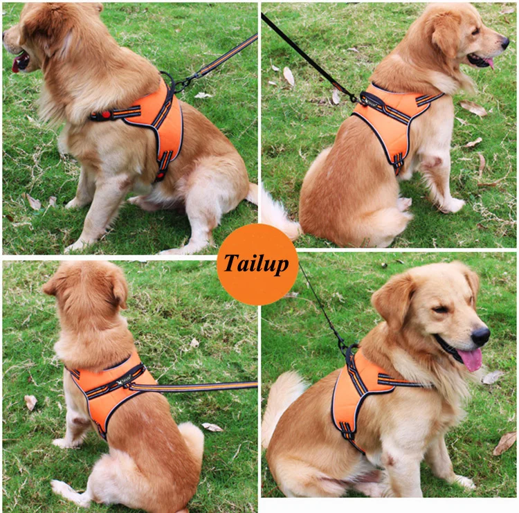 3598600908_1859593290