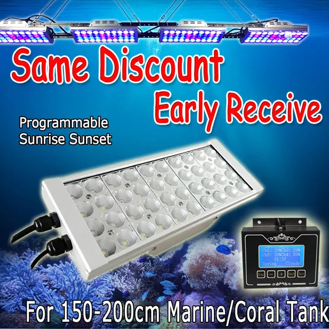 aquariam lights aquariam lights