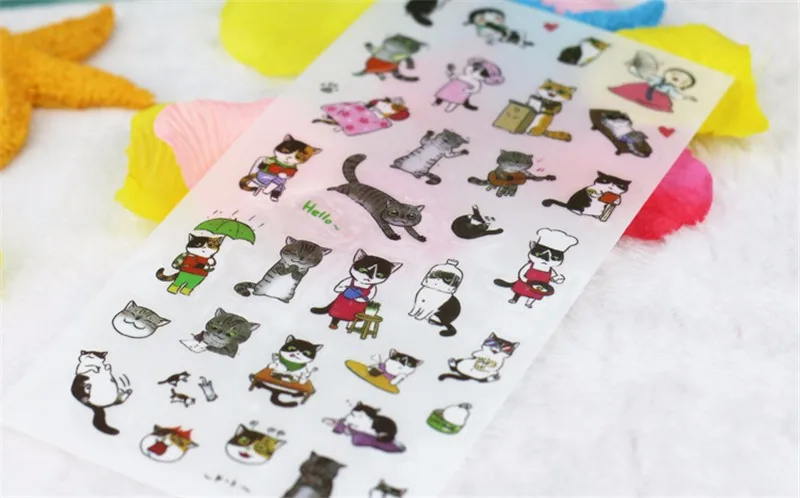 2922896183_1536718367