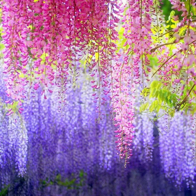 

12pcs/lot Elegant Artificial Hydrangea Flowers 110Cm For Wedding Decor Silk Garlands Of Fake Flowers Art Wisteria Flower String