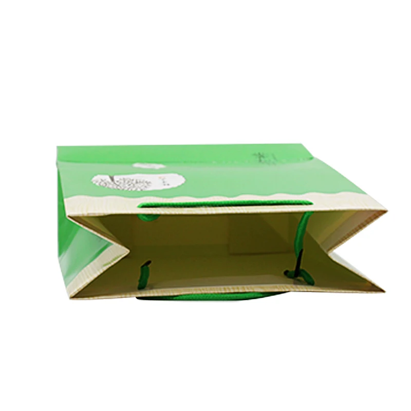 paper bag (3)