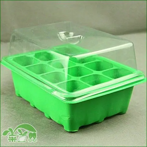 12-hole детская тарелка из трех частей Детская коробка изоляция увлажняющий
