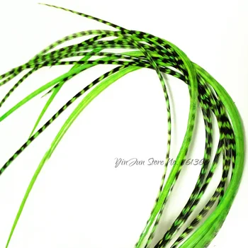 

Heat 10pieces 6-12" inches Ombre Dyed Lime Green Grizzly Solid Rooster Feathers Hair Extensions DIY Accessories for Hair Styling