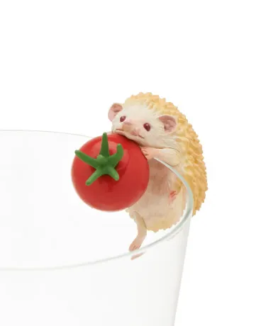 ciwei4