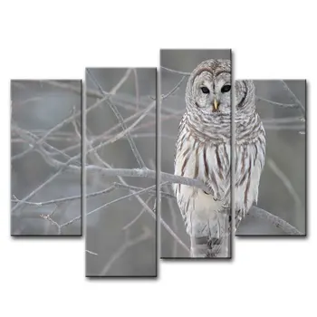 

4 Pieces Wall Art Painting White Owl In The Tree Prints On Canvas The Picture Animal Pictures Oil For Decoration Print Decor