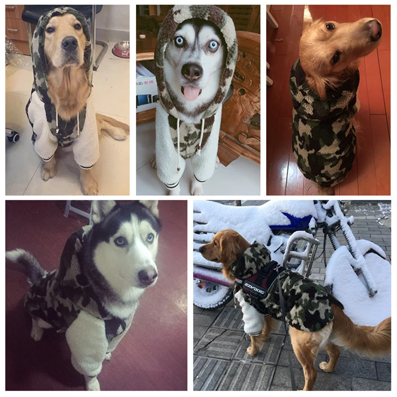 Pet-Coats-006-07