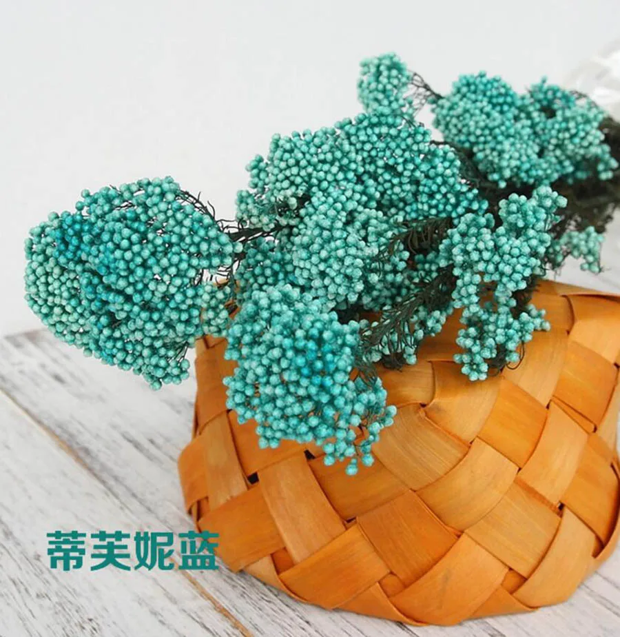 永生米花(爱考拉电子)-蒂芙妮蓝