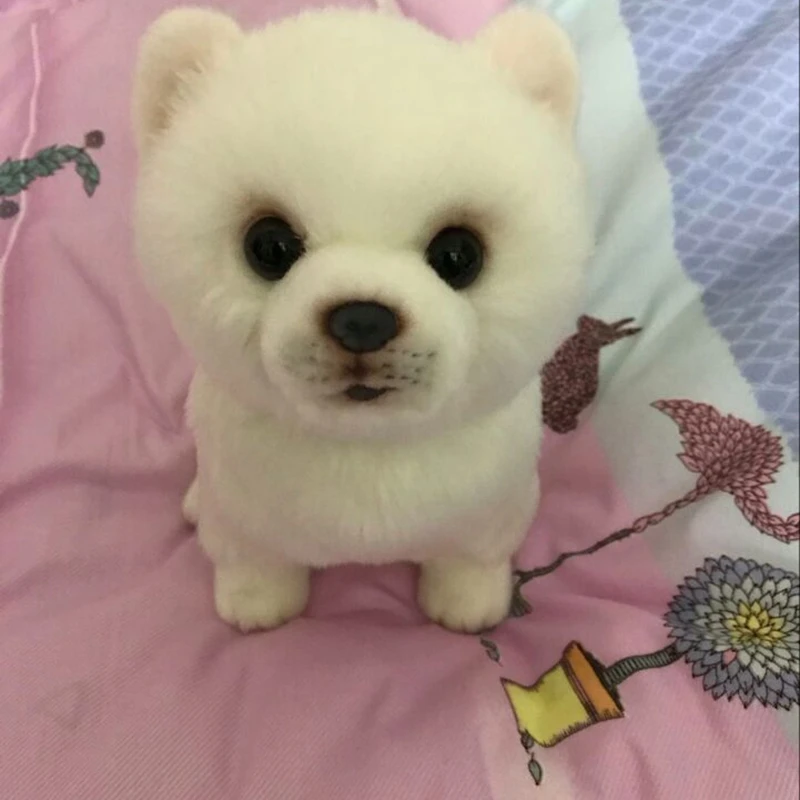 Dorimytrader качество красота Белая собака померанский плюшевая игрушка мягкие милые животные кукла для собак детский подарок 28 см X 12 см X 22 см DY50058