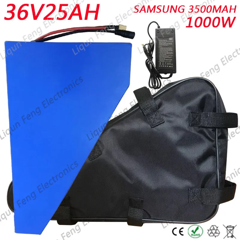 36V25AH-1000W