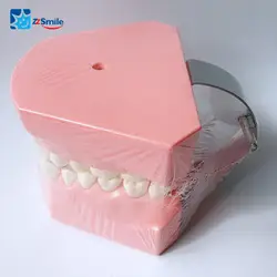 M7010 зубной щеткой демонстрация модели