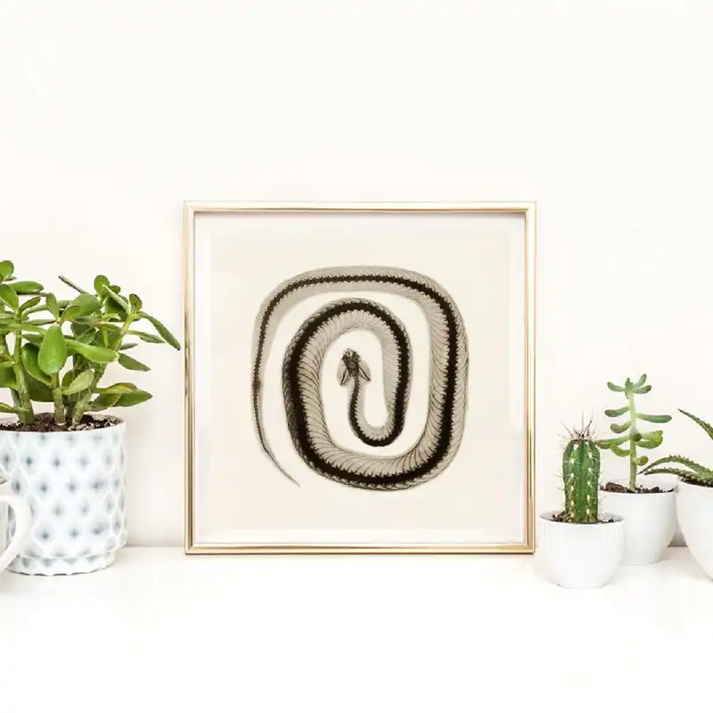 ヘビ壁の装飾ヴィンテージ科学写真イラストポスタープリント セピアヘビアートキャンバス絵ゴシック家の装飾 Painting Calligraphy Aliexpress