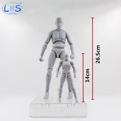 Фигурка Кун см архетип он она ферритовый Figma подвижные 26,5 тела Чан ПВХ Feminino фигурку аниме Коллекционная модель игрушки