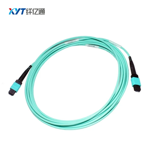 MPO-MPT patch cord  (5)