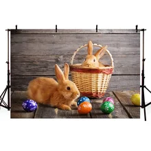 Mehofoto Peter Rabbit Backdrop Easter Eggs Photography Backdrops for Photo Booth Birthday Party Banner Props