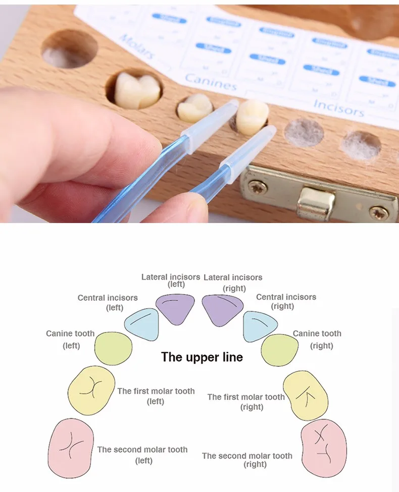 Зубы поле организатор ребенка держать молочных зубов деревянный ящик для хранения большие подарки От 3 до 6 лет творческий для детей Дети