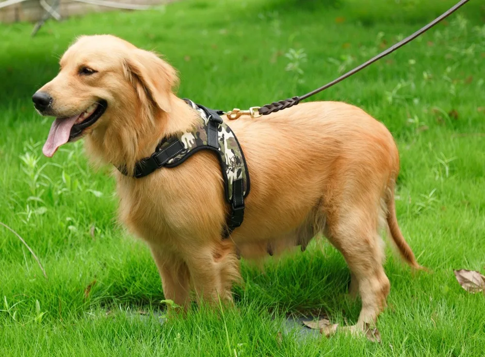

Dog straps collar and leashes,100% polyester material,breathability easily, walking's best choice and best pets harness